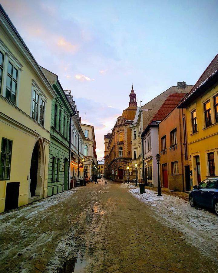 Old Town Vintage Apartment Sturova Кошице Экстерьер фото