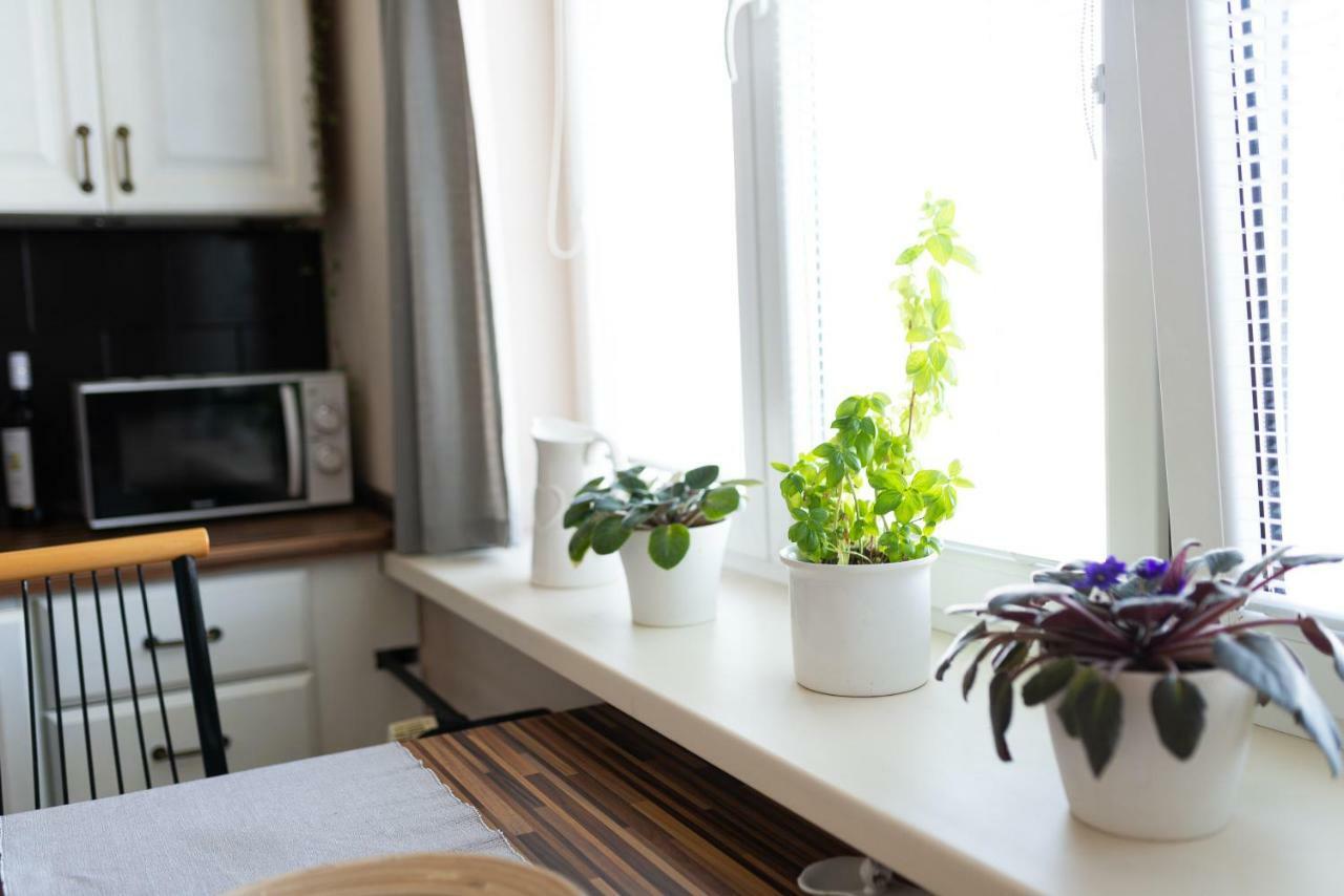 Old Town Vintage Apartment Sturova Кошице Экстерьер фото